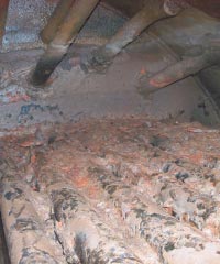 Tratamiento químico